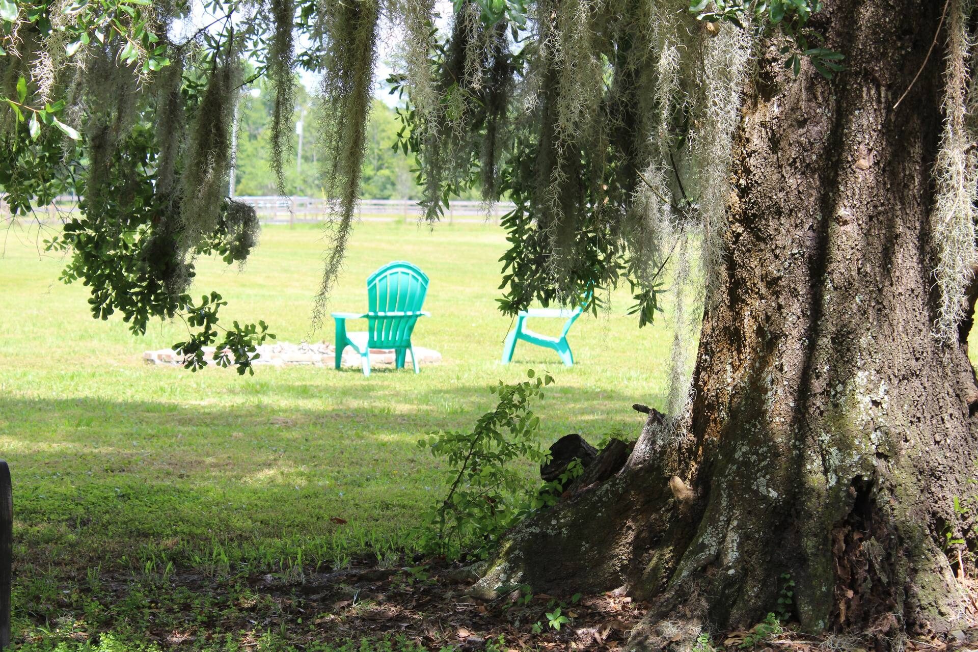 Shade under the oaks